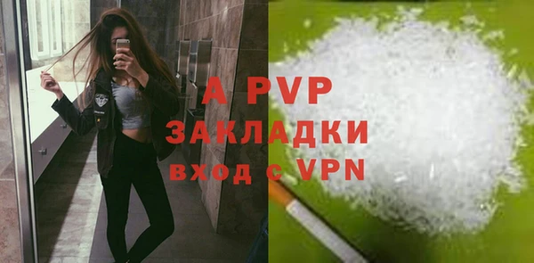 шишки Вязьма