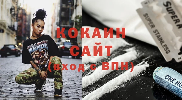 шишки Вязьма