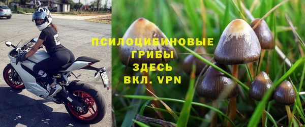 ПСИЛОЦИБИНОВЫЕ ГРИБЫ Волоколамск