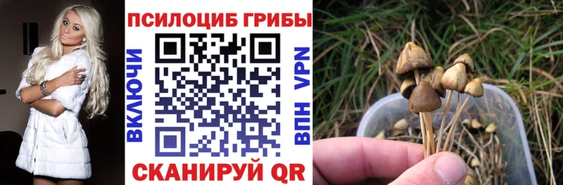 mega ССЫЛКА  Десногорск  Галлюциногенные грибы GOLDEN TEACHER  купить наркотики цена 